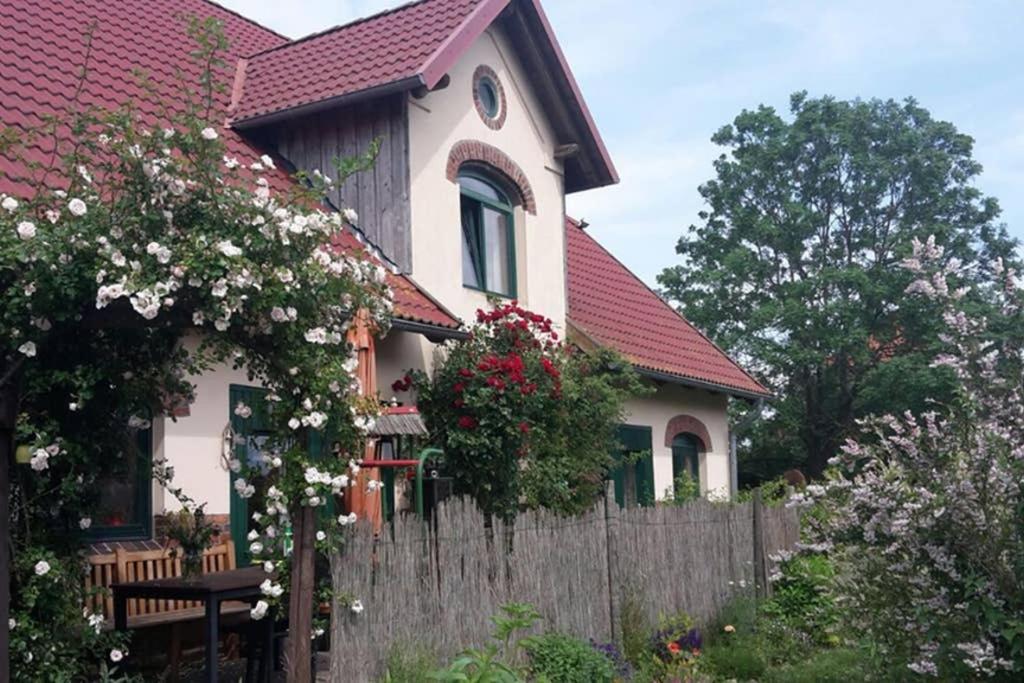 Entspannen Im Dorf Am See Zahren Dış mekan fotoğraf